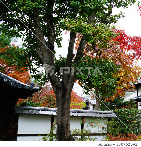紅葉 寺 紅葉 寺 130752342