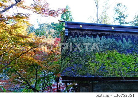 紅葉 寺 紅葉 寺 130752351