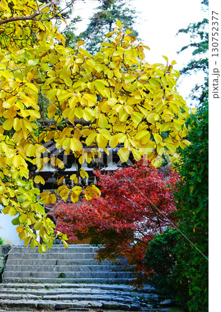 紅葉　寺 130752377