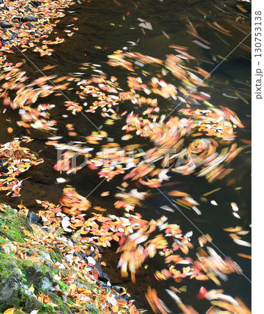 るり渓　京都府 130753138