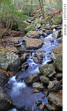 るり渓　京都府 130753143