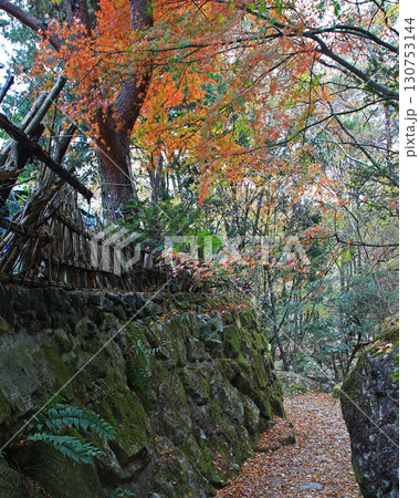 るり渓　京都府 130753144