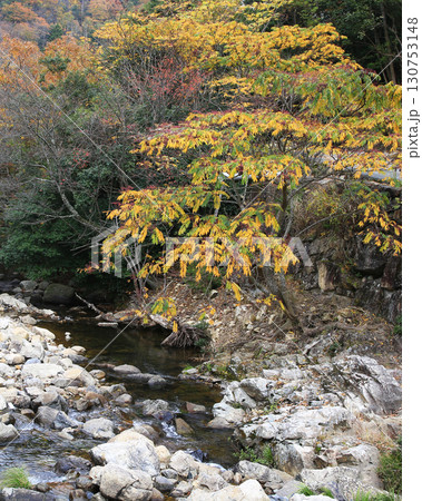 るり渓 京都府 るり渓 京都府 130753148