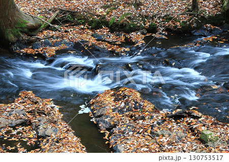 るり渓　京都府 130753517