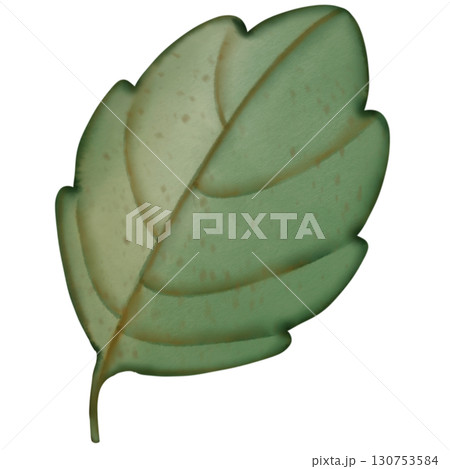 Colorful illustration of pumpkins and autumn leaves in warm shades and element perfect for seasonal decorations and fall themes.  130753584