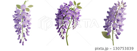 リアルな藤の花 130753839