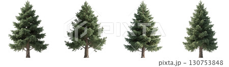 並んだ木々 130753848