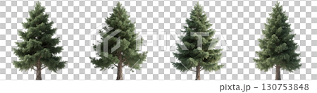 並んだ木々 130753848