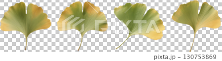 銀杏の葉 130753869
