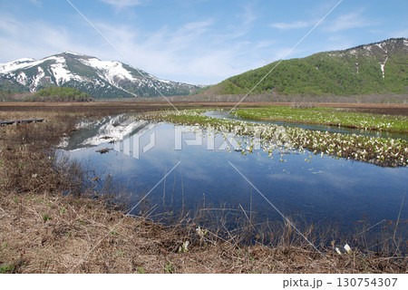 Lake Oze in early summer 初夏の尾瀬沼，雪解けの尾瀬湿原を歩く木道からの風景 130754307