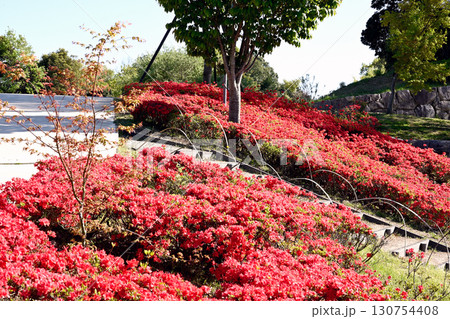 初夏の藍那の里公園 130754408