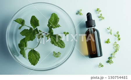Patchouli extract oil organic aromatic extract leaves and glass serum bottle 130754481