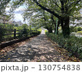 緑豊かな夏の散歩道 130754838