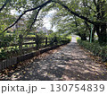 緑豊かな夏の散歩道 130754839