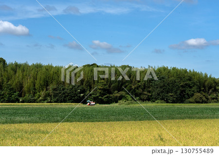 晩夏の水田地帯と青空のコピースペース 晩夏の水田地帯と青空のコピースペース 130755489