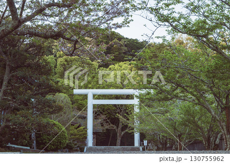 千葉 安房神社(館山市) 千葉 安房神社(館山市) 130755962