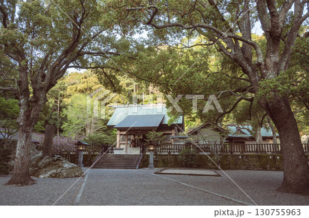 千葉　安房神社（館山市） 130755963