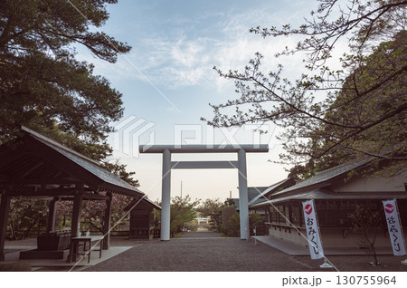 千葉　安房神社（館山市） 130755964