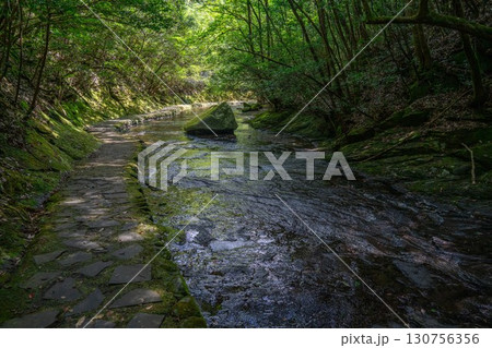 渓谷に沿って続く石畳 130756356