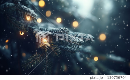 Dark green pine tree and branch with snow and yellow light blurred 130756704