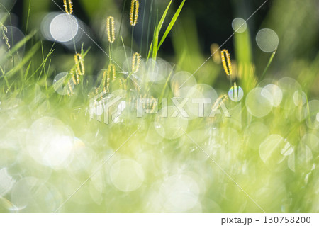 高原の秋色イメージ 奥大山 高原の秋色イメージ 奥大山 130758200