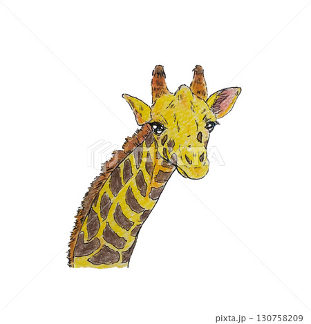 リアルでかわいいキリンのイラスト1 130758209