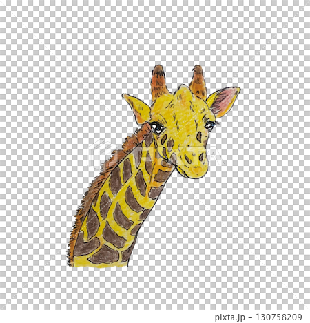 リアルでかわいいキリンのイラスト1 130758209