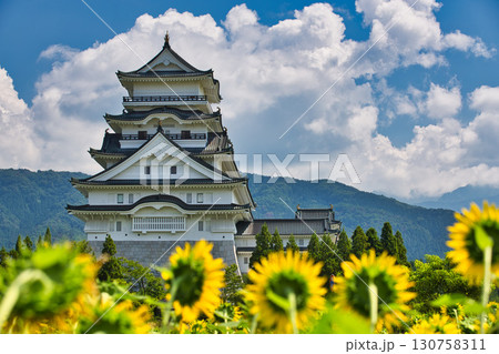 ひまわり畑の中から勝山城 ひまわり畑の中から勝山城 130758311