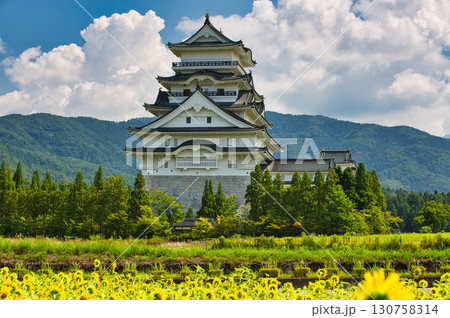 ひまわり畑の中から勝山城 130758314