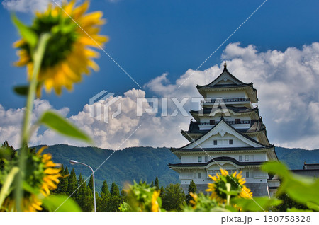 ひまわり畑の中から勝山城 130758328
