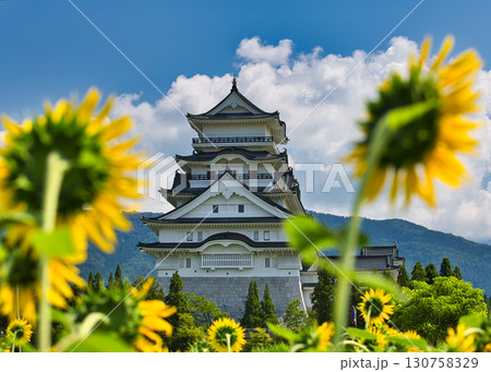 ひまわり畑の中から勝山城 ひまわり畑の中から勝山城 130758329