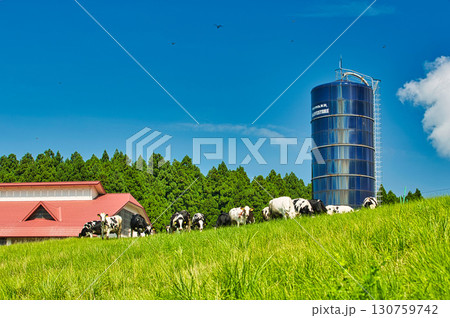 夏の六呂師高原 夏の六呂師高原 130759742