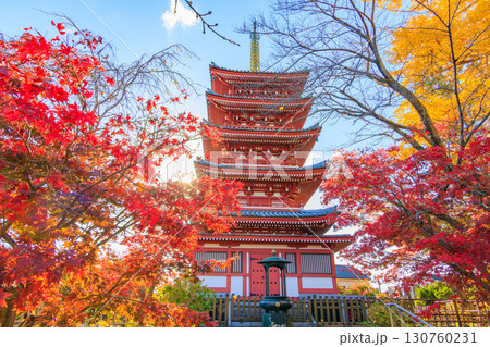 本土寺の五重塔と紅葉した風景 130760231
