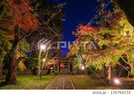 ライトアップされた紅葉と東漸寺の中雀門 ライトアップされた紅葉と東漸寺の中雀門 130760238