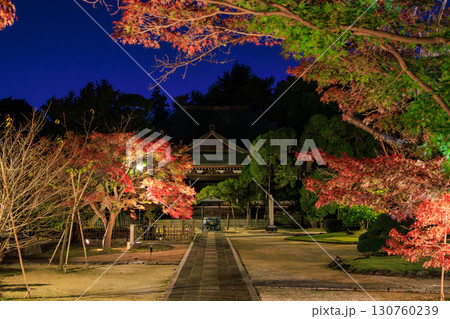 ライトアップされた紅葉と東漸寺 130760239