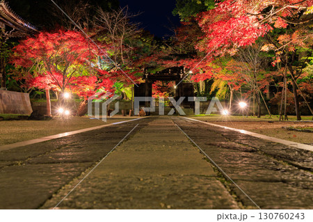 ライトアップされた紅葉と東漸寺の中雀門 ライトアップされた紅葉と東漸寺の中雀門 130760243