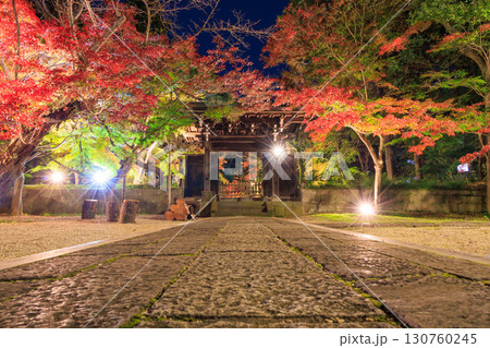 ライトアップされた紅葉と東漸寺の中雀門 ライトアップされた紅葉と東漸寺の中雀門 130760245
