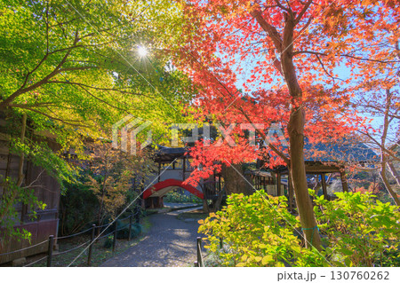 本土寺境内の紅葉した風景 130760262