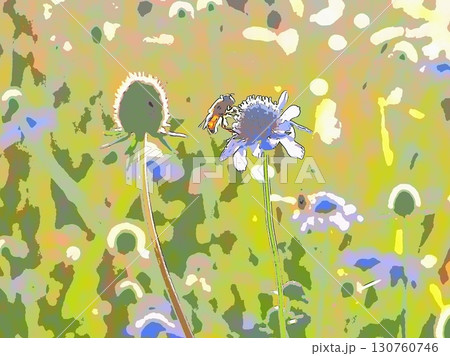 夕暮れのマツムシソウと虫（afr20250906164152） 130760746