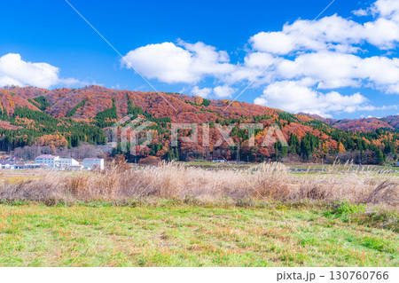 【秋素材】晩秋の白馬村の紅葉の様子と青空【長野県】 【秋素材】晩秋の白馬村の紅葉の様子と青空【長野県】 130760766