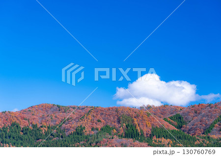 【秋素材】晩秋の白馬村の紅葉の様子と青空【長野県】 130760769