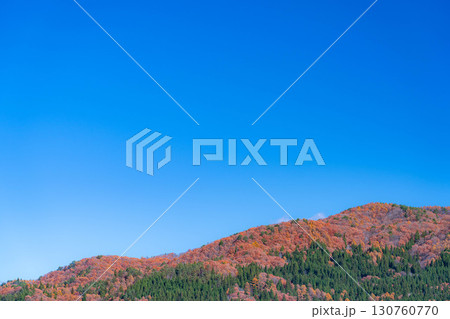 【秋素材】晩秋の白馬村の紅葉の様子と青空【長野県】 130760770