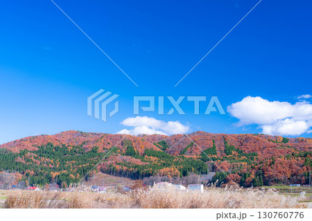 【秋素材】晩秋の白馬村の紅葉の様子と青空【長野県】 130760776