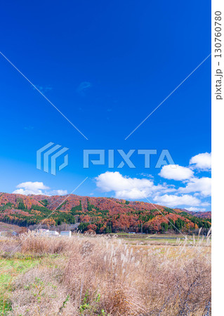 【秋素材】晩秋の白馬村の紅葉の様子と青空【長野県】 130760780