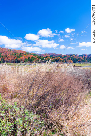 【秋素材】晩秋の白馬村の紅葉の様子と青空【長野県】 130760781