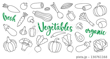 Vegetables outline set. Natural vegetarian foods. Healthy eating. Fresh organic vegetables symbol for kitchen, menu, food packages design. 130761168