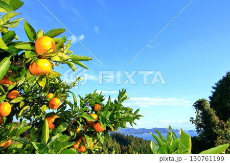 青空に映える島の主役たち 130761199
