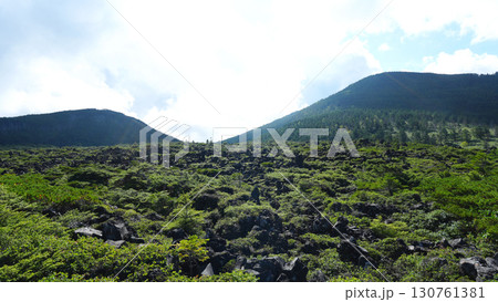 坪庭 北八ヶ岳 坪庭 北八ヶ岳 130761381