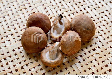 収穫した椎茸 130761470