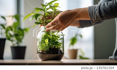 Nurturing Green Plant in Glass Jar. Generative ai 130762164